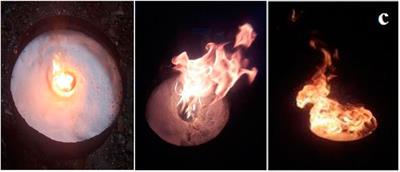 Study on Flame Retardancy and Mechanism of Talc Composite Foams